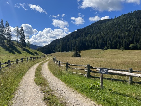 Katja Gole - srednji apartma 10